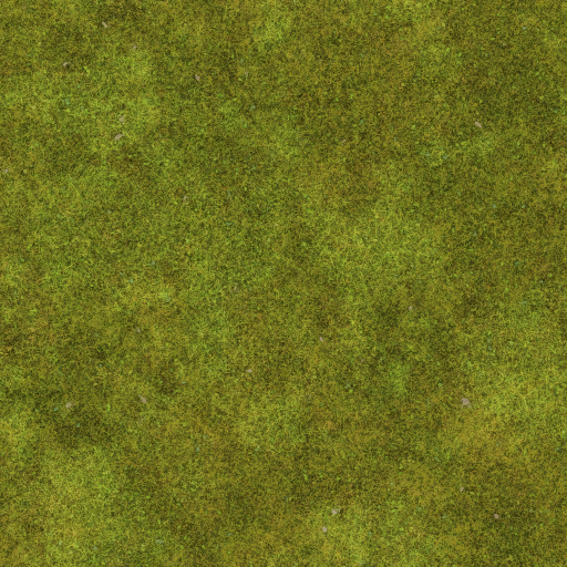 ev60_00490_ground01.1