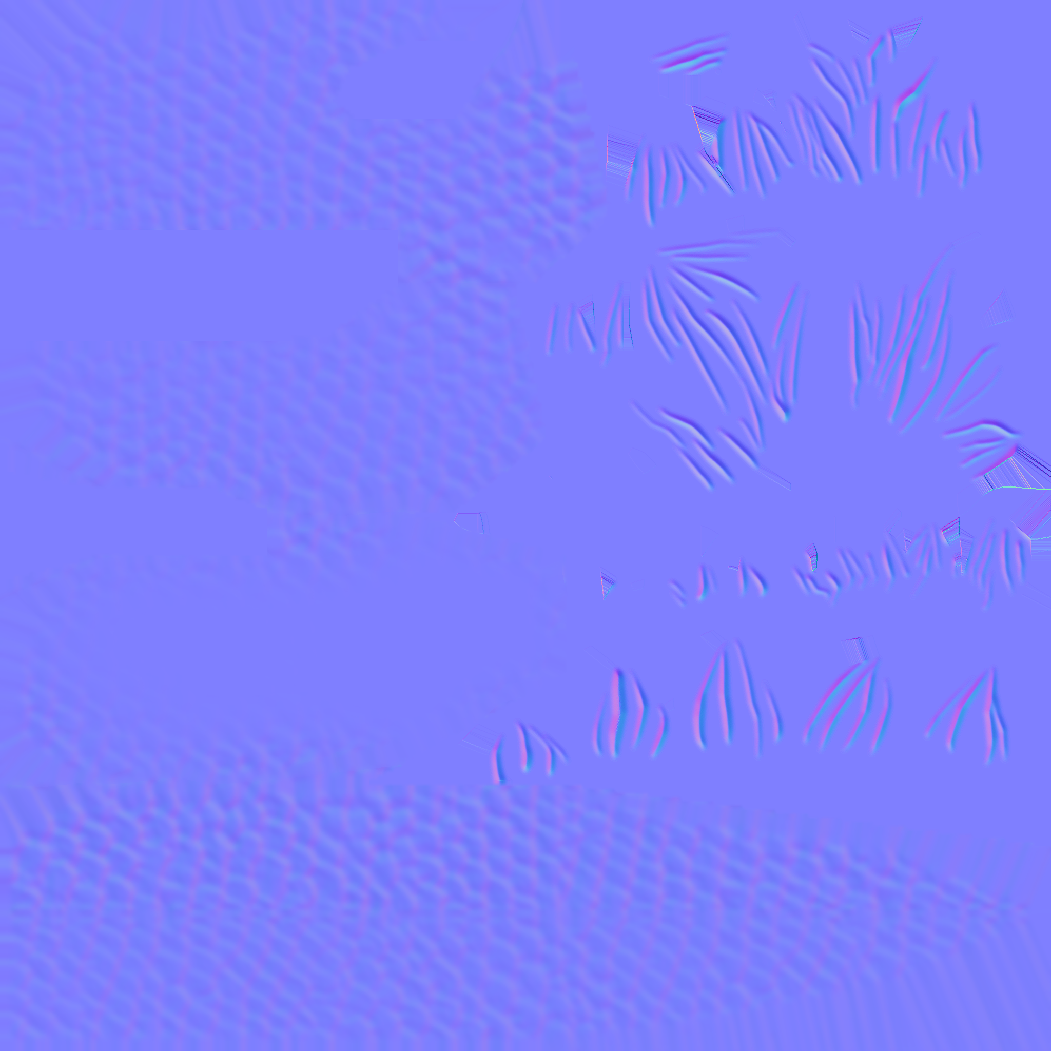 ev60_00580_10nml