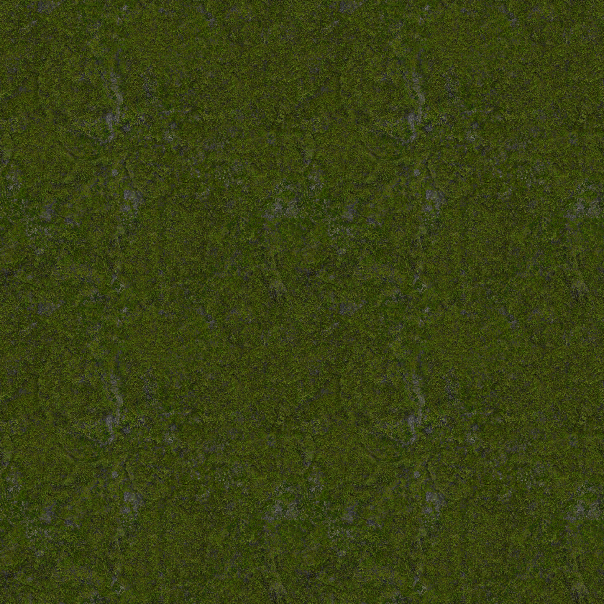 moss01.1