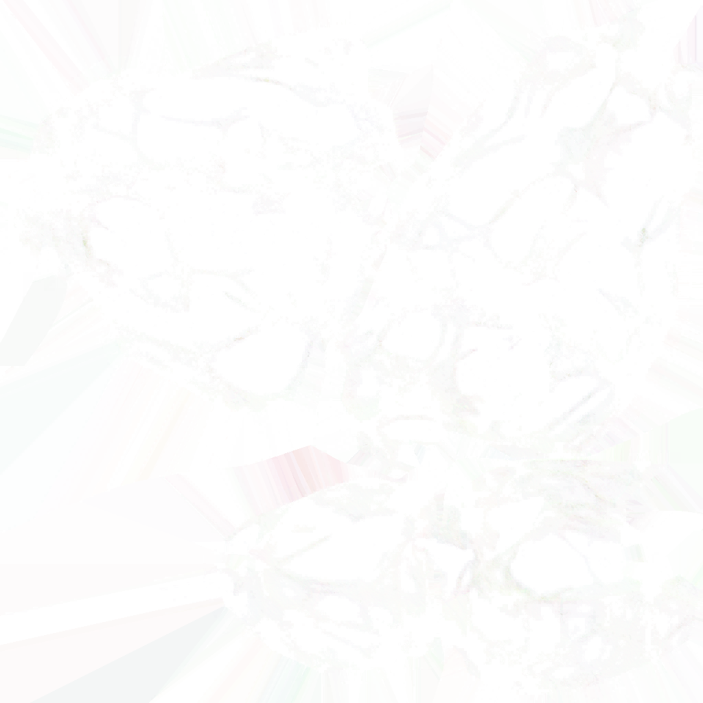 rock01.2