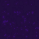 ega0501a_11