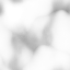 ega0541a_13