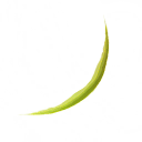 ega2012_01