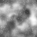 ega2024b_15