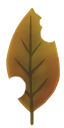 es00300a_01