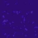 ev070320000200_12