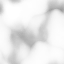 ev070320000200_13