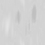 ev090412502400_02