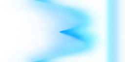 100060_11