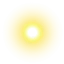condor_12