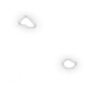 ev60005800_19