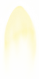 eagle_04
