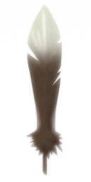 wks0004_ef_01