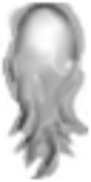 ev60007800_60