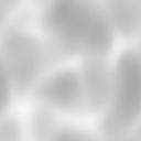 w100950_ef_55