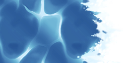 whs0041_ef_06