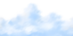 ev60011300_11