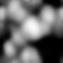 whs0022_ef_28