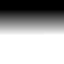 whs0025_ef_21