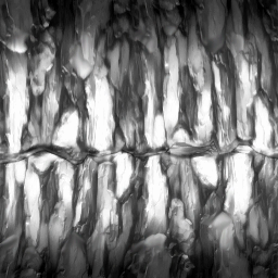 whs0027_ef_33