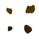 whs0030_ef_16