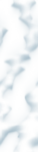 wks0004_ef_05