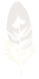 wks0006_ef_11