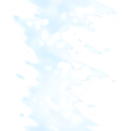 wks0009_ef_31