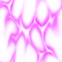 whs0047_ef_28
