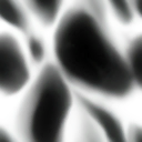 whs0062_ef_16