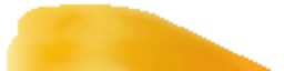whs0076_ef_06