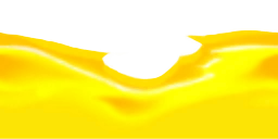 whs0078_ef_12