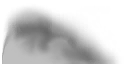 ev60022400_48