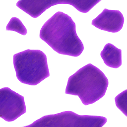 ev60026400_12