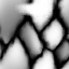 ev60027700_28