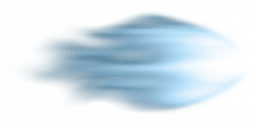 ev60029500_06
