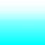 ev60029800_07
