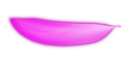ev60031700_ef_90