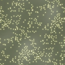 ev60102000_10