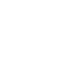 aurora_17