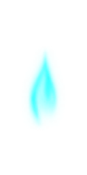 purima_39