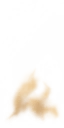ev61005100_ef_31