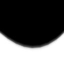 dog_run_23