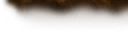 who0016_ef_15