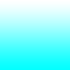 wko0005_ef_16