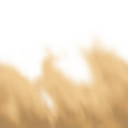 who0054_ef_10