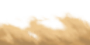 who0065_ef_17