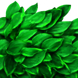ev61013200_ef_10