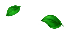 ev61013200_ef_13