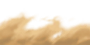 wso0004_ef_13